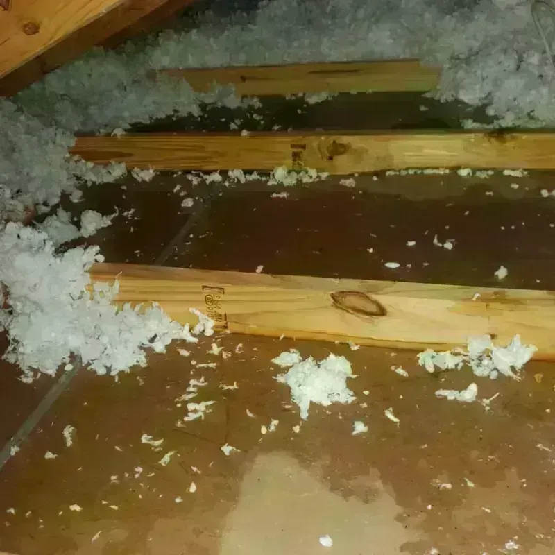 Attic Water Damage in Forestville, CA